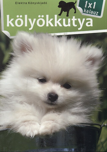 Bernáth István: Kölyökkutya antikvár