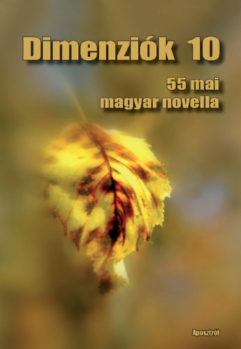 Dimenziók 10 könyv