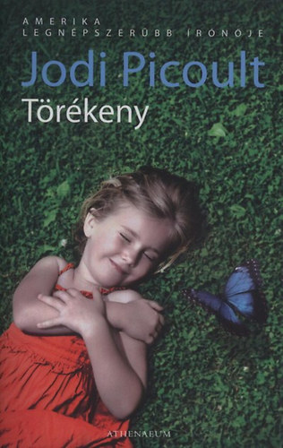 Jodi Picoult: Törékeny könyv