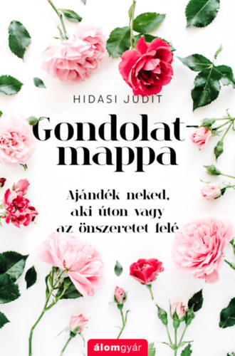 Hidasi Judit: Gondolatmappa antikvár