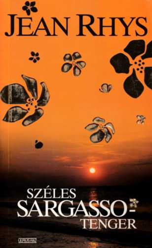 Jean Rhys: Széles Sargasso-tenger antikvár
