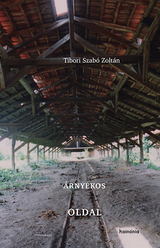 Tibori Szabó Zoltán: Árnyékos oldal könyv