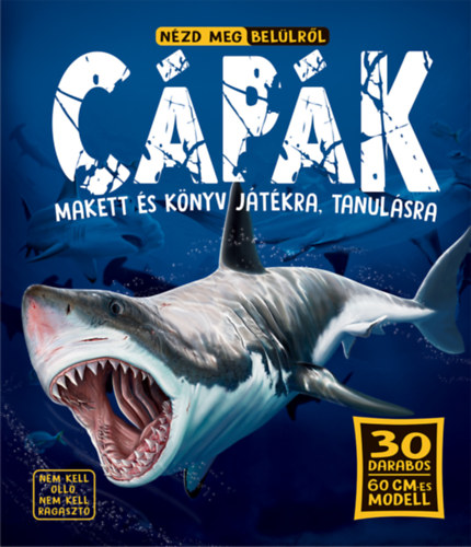 Nézd meg belülről - Cápák akciós termékkép 1