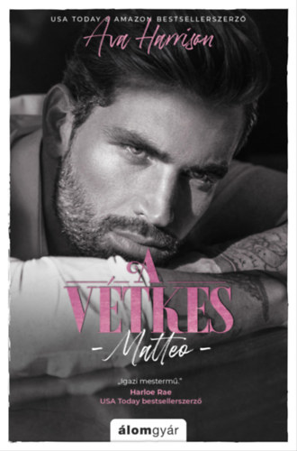 Ava Harrison: A vétkes - Alvilági játszmák-sorozat (3) e-Könyv