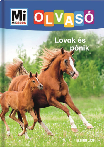 Christina Braun: Lovak és pónik könyv