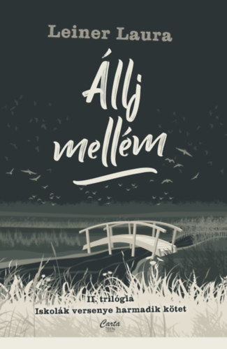 Leiner Laura: Állj mellém e-Könyv