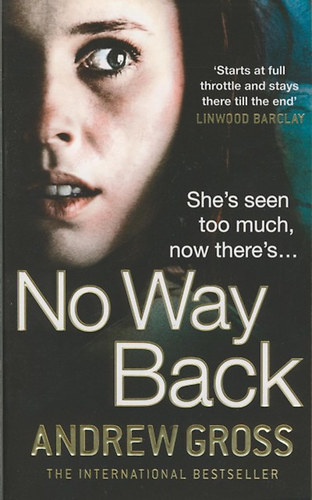 Andrew Gross: No Way Back könyv