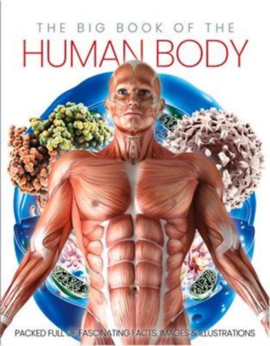 Marsh, Katharine: The Big Book of the Human Body idegen
