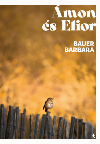 Bauer Barbara: Ámon és Elior könyv