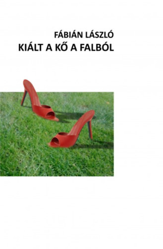 Fábián László: Kiált a kő a falból könyv