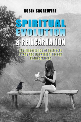 Spiritual Evolution and Reincarnation akciós termékkép 1