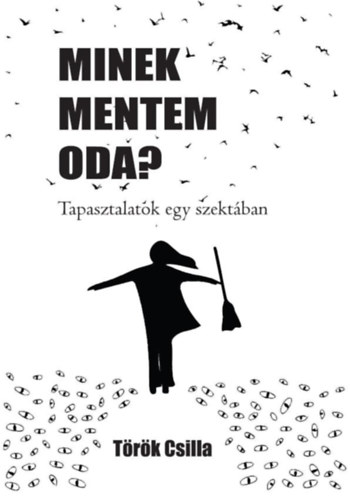 Török Csilla: Minek mentem oda? könyv