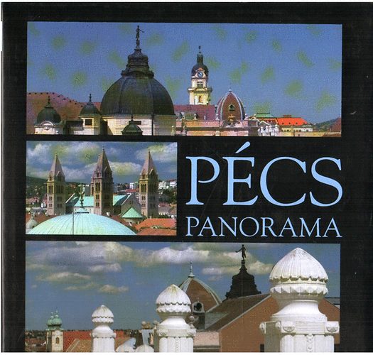 Kalmár Lajos: Pécs Panorama antikvár