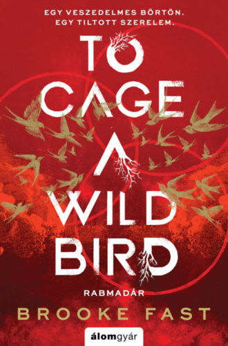 Brooke Fast: To Cage a Wild Bird - Rabmadár könyv