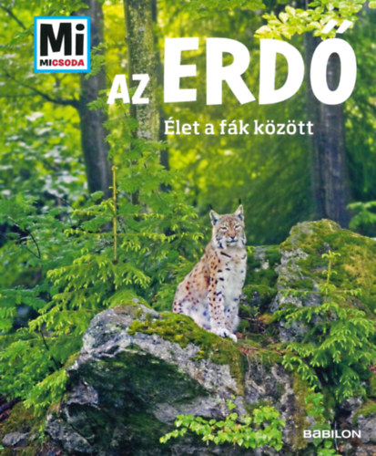 Anette Hackbarth: Az erdő - Mi Micsoda könyv