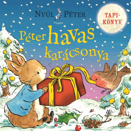 Nyúl Péter világa - Nyúl Péter havas karácsonya könyv