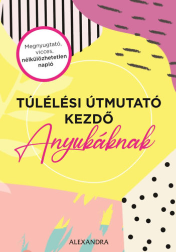 Amy Ransom: Túlélési útmutató kezdő anyukáknak antikvár