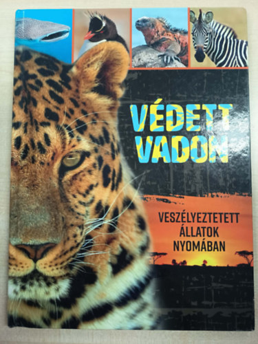 Bagoly Ilona: Védett vadon - Veszélyeztetett állatok nyomában antikvár