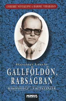 Harsányi László: Gallföldön, rabságban antikvár