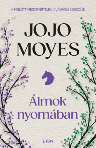 Jojo Moyes: Álmok nyomában könyv
