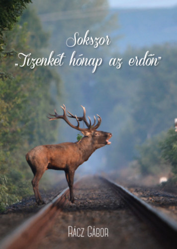 Rácz Gábor: Sokszor könyv