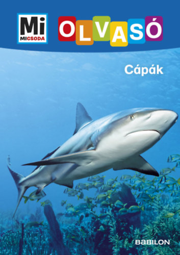 Christina Braun: Cápák könyv