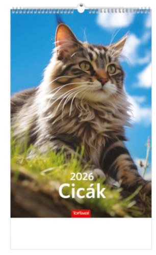 Cicák falinaptár 22x33 cm - 2026 naptár