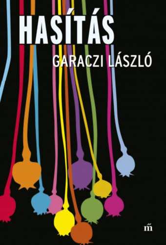Garaczi László: Hasítás könyv