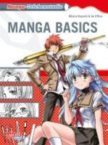Hayashi, Hikaru: Manga-Zeichenstudio: Manga Basics idegen