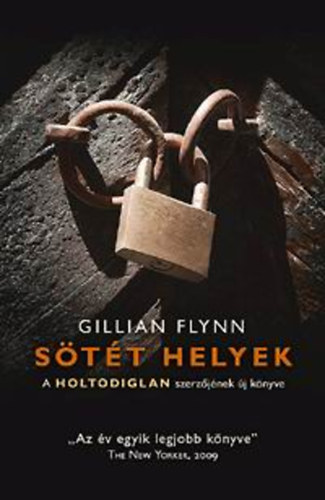 Gillian Flynn: Sötét helyek antikvár