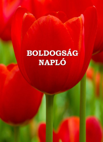 Boldogságnapló - kemény kötés akciós termékkép 1