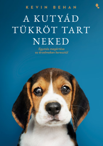 A kutyád tükröt tart neked akciós termékkép 1