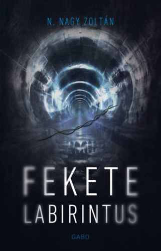 N. Nagy Zoltán: Fekete labirintus könyv