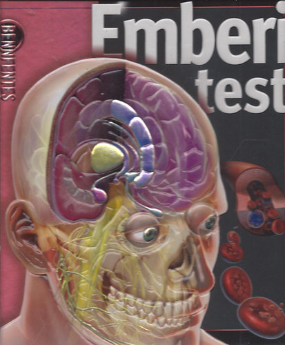 Linda Calabresi: Emberi test (Bennfentes) antikvár