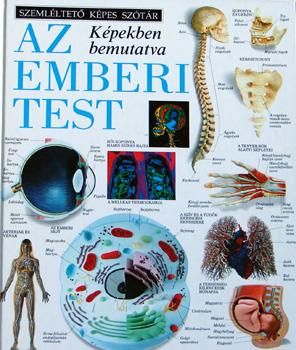 Fordító Dr. Lugosi Éva Grafikus Simone End David Gardner Fotózta Peter Chadwick Geoff Dann Dave King: Az emberi test (Szemléltető Képes Szótár) - Több, mint 200 kitűnő, eredeti fényképpel és rajzos ábrával. antikvár