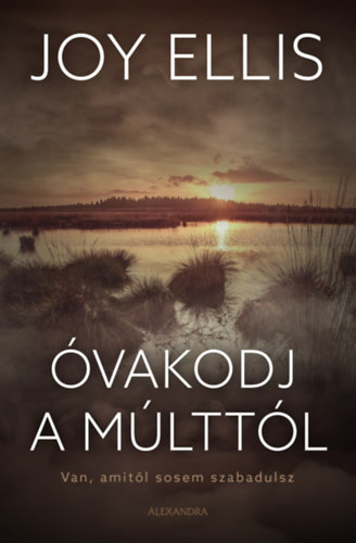 Joy Ellis: Óvakodj a múlttól antikvár