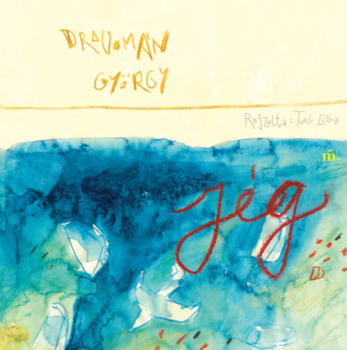 Dragomán György: Jég könyv