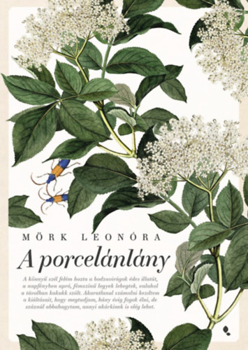 Mörk Leonóra: A porcelánlány e-Könyv