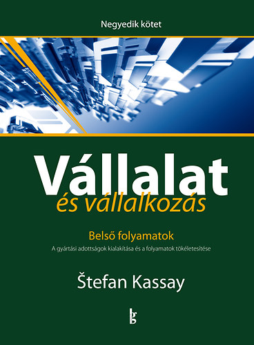 Stefan Kassay: Vállalat és vállalkozás IV. - Belső folyamatok könyv