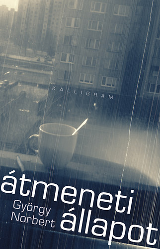 György Norbert: Átmeneti állapot antikvár