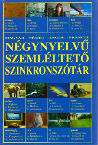 Négynyelvű szemléltető szinkronszótár (Magyar-német-angol-francia) antikvár