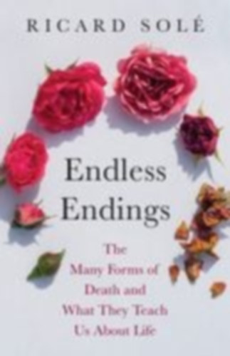 Sole, Ricard: Endless Endings idegen