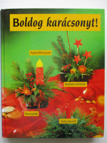 Luzia Becker: Boldog karácsonyt! Barkácsötletek, dekorációk, ajándéktippek, receptek antikvár