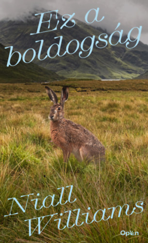 Niall Williams: Ez a boldogság könyv