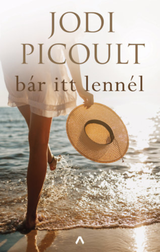 Jodi Picoult: Bár itt lennél e-Könyv