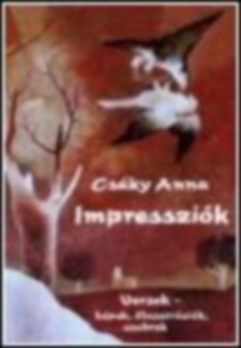 Csáky Anna: Impressziók antikvár