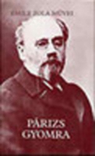 Émile Zola: Párizs gyomra antikvár