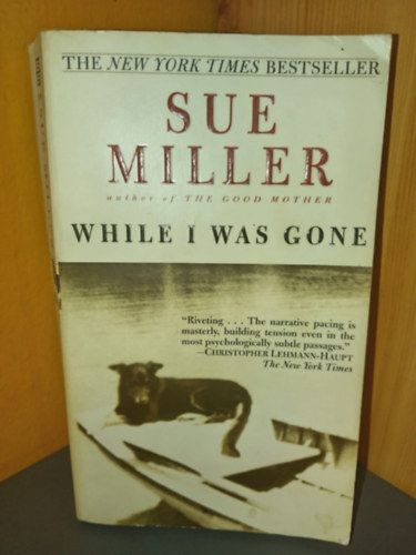 Sue Miller: While I Was Gone antikvár