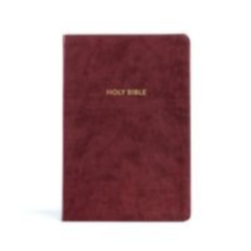Holman Bible Publishers: KJV Rainbow Study Bible, Burgundy Leathertouch idegen
