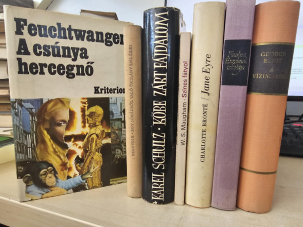 Lion Feuchtwanger, Simone de Beauvoir, Karel Schulz, William Somerset Maugham, Charlotte Brontë, Gustave Flaubert, George Eliot: 7db klasszikus regény, KÖNYVMENTŐ AJÁNLAT: A csúnya hercegnő+ Egy jóházból való úrilány emlékei+ Kőbe zárt fájdalom+ Színes fátyol+ Jane Eyre+ Érzelmek iskolája+ A vízimalom antikvár